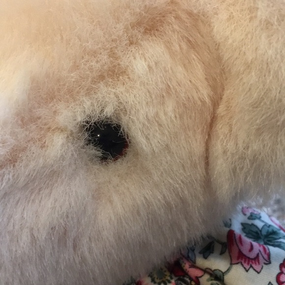 Light pink Gund bear - Picture 6 of 12